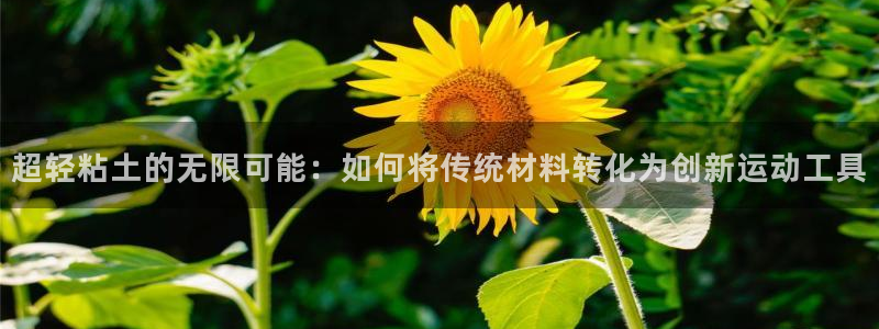 球速体育QsTY官方正版app神州：超轻粘土的无限可