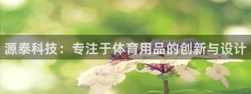 球速体育QsTY官方正版app五金厂：源泰科技：专注于体育用