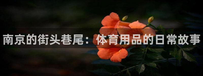 球速体育QsTY官方正版app娱乐平台：南京的街头巷尾：体育