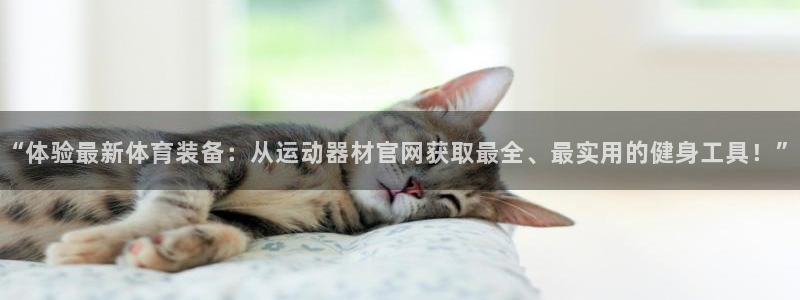 球速体育QsTY官网下载平台注册要钱吗安全吗：“体验