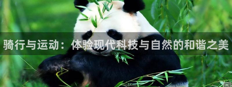 球速体育QsTY官方正版app集团E.ON：骑行与运动：体验