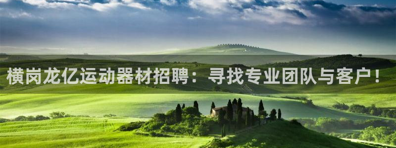 球速体育QsTY官网下载招商电话是多少