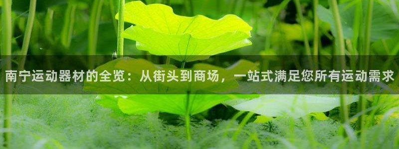 球速体育QsTY官方正版app神州：南宁运动器材的全览：从街