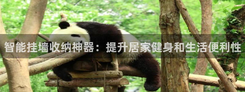 球速体育QsTY官网下载招商电话地址