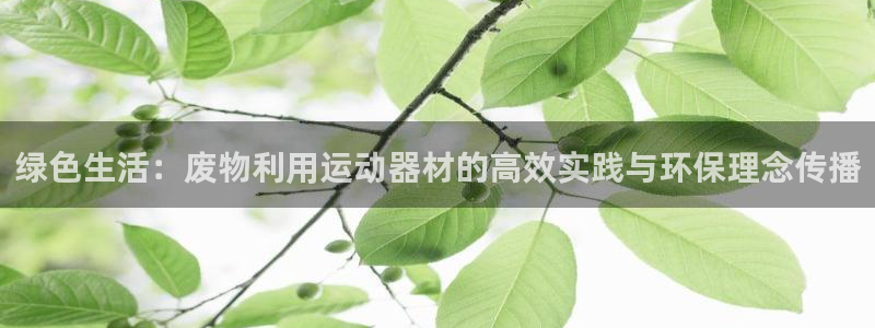 球速体育QsTY官网下载招商电话是多少啊